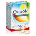 Equoïa - Ponroy (Ponroy)