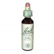 FLEURS DE BACH Oak - Flacon de 20 ml (Vincent Bach)