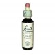Houx (Holly) 15 - Fleur de Bach original - Famadem (Vincent Bach)