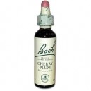 Prunier Myrobolan (Cherry Plum) 06 - Fleur de Bach original - Famadem (Vincent Bach)