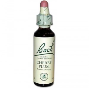 Myrobalan plum (Cherry Plum) 06 - Bach Original Flower - Famadem (Vincent Bach)