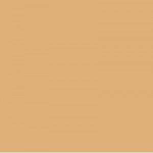 Jane Iredale Liquid Minerals - Caramel