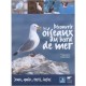 Decouvrir Les Oiseaux Du Bord De Mer - Lpo Paca Ponton Pat