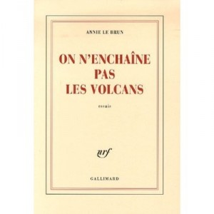 We Do not detain Volcanoes - Annie Le Brun