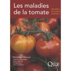 Diseases of tomato, identify, know, Mastering - Dominique Blancard