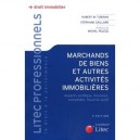 Marchands De Biens Et Autres Activites Immobilieres - Hubert Tubiana , Stephane Gaillard