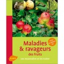 Maladies Et Ravageurs Des Fruits - Jerome Jullien , E Jullien