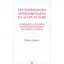 Pathologies Fondamentales En Acupuncture A Partir De La Synthese Symptomatologique Des Points Chinois - Thierry Gaurier