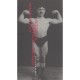 A Fleur De Peau , Medecins, Tatouages Et Tatoues - Collectif