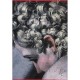 Peinture Et Dessin , Coffret T.1 Et T.2 - Segolene Bergeon Langle , Pierre Curie