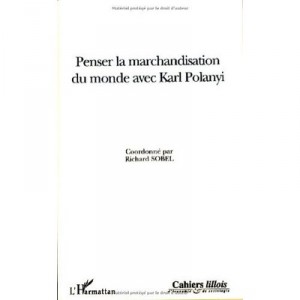 Penser La Marchandisation Du Monde Avec Karl Polanyi - Richard Sobel