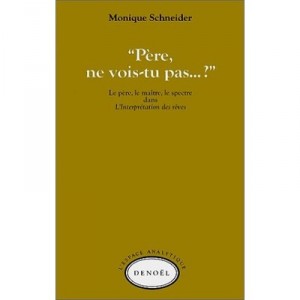 Pere Ne Vois-tu Pas - Daniel Schneidermann