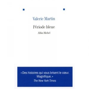 Blue Period - Valerie Martin