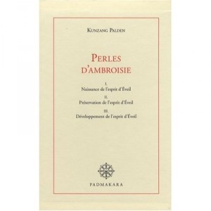 Perles D'ambroisie, Commentaire Litteral De La Marche Vers L'eveil - Kunzang Palden