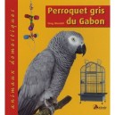 Perroquet Gris Du Gabon - Greg Glendell