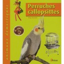 Perruches Callopsittes - Greg Glendell