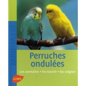 Budgerigar, The Know, The Feeding, The Healing - Kurt Kolar