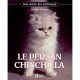 Persan Chinchilla - Nadege Devaux