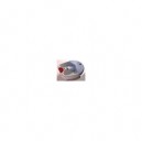 Lanaform Bain bulles multifonctions pour pieds Deluxe Mass