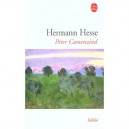 Peter Camenzind - Herman Hesse
