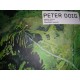 Peter Doig - Searle Adrian
