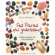Ces Pierres Qui Guerissent , Guide Pratique De Lithotherapie - Philip Permutt