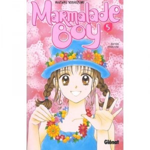 T.5 Marmalade Boy - Wataru Yoshizumi