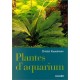 Plantes D'aquarium - Christel Kasselmann
