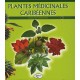 Plantes Medicinales Caribeennes T.1 - Jean-louis Longuefosse