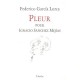 Pleur Pour Ignacio Sanchez Mejias - Federico Garcia Lorca