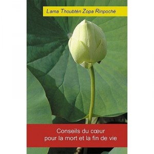 Conseils Du Coeur Pour La Mort Et La Fin De Vie - Thoubten Zopa Rinpoche