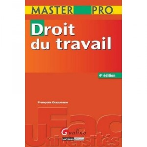 Droit Du Travail (4e Edition) - Francois Duquesne