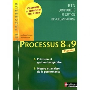 Bts 2 Cgo , Prevision Et Gestion Budgetaire , Mesure Et Analyse De La Performance - Jean-claude Noussigue