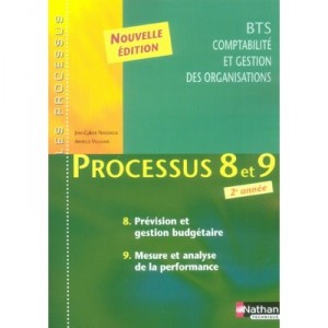 Bts Comptabilite, Gestion Des Organisations , Processus 8/9 Prevision Et Gestion Mesure Et Analyse - Jean-claude Noussigue