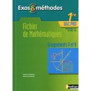 Exos  Methodes, Mathematiques , 1ere Bac Pro, Groupements A Et B , Livre De L'eleve (edition 2010) - Jean-luc Dianoux
