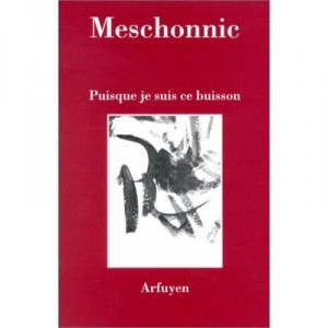 Puisque Je Suis Ce Buisson - Henri Meschonnic