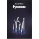 Pyromane - Romuald Giulivo