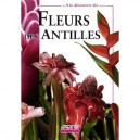 A La Decouverte Fleurs Des Antilles - Huchet