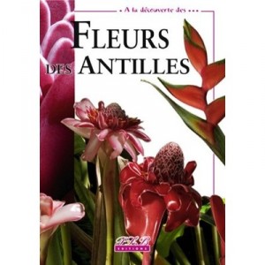 A La Decouverte Fleurs Des Antilles - Huchet