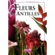 A La Decouverte Fleurs Des Antilles - Huchet