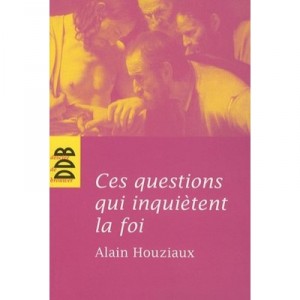 Ces Questions Qui Inquietent La Foi - Alain Houziaux