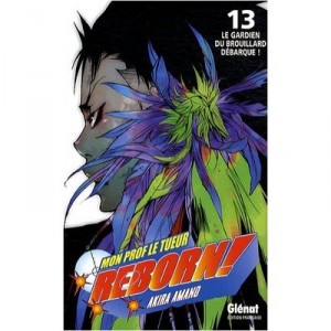 T.13 Reborn, The Guardian of the Mist landing - Akira Amano