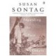 Regarding The Pain Of Others - Sontag Susan