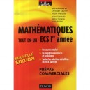 Maths Tout En Un , 1e Annee Ecs (2e Edition) - Christian Gautier , Andre Warusfel
