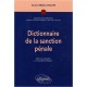 Dictionnaire De La Sanction Penale - Annie Beziz-ayache