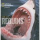 Face Aux Requins - David Doubilet , Jenniffer Hayes