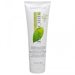 Matrix Nutrition Shampooing fortifiant Biolage Fortetherapie Aide à prévenir la cassure et à réparer les ch...