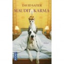 Maudit Karma - David Safier