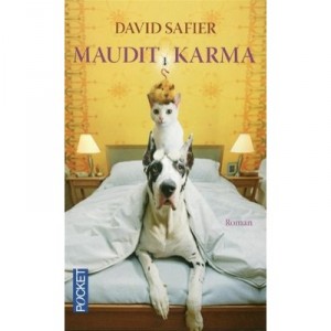 Maudit Karma - David Safier