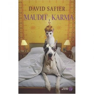 Maudit Karma - David Safier